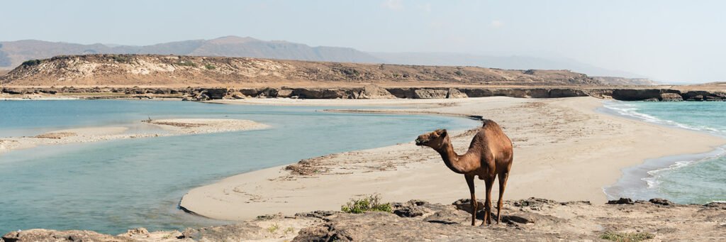 Salalah Travel Guide for Europeans - Complete Guide