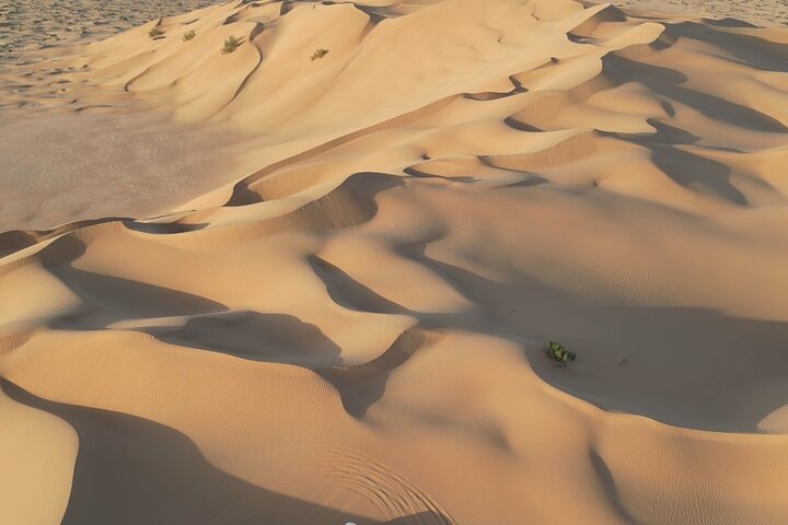 Salalah private excursions private tours in Salalah for Europeans