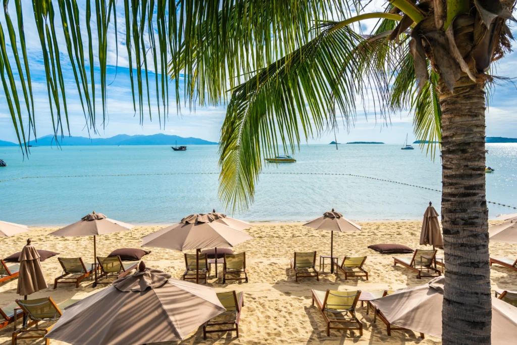 salalah nature trips travel photo