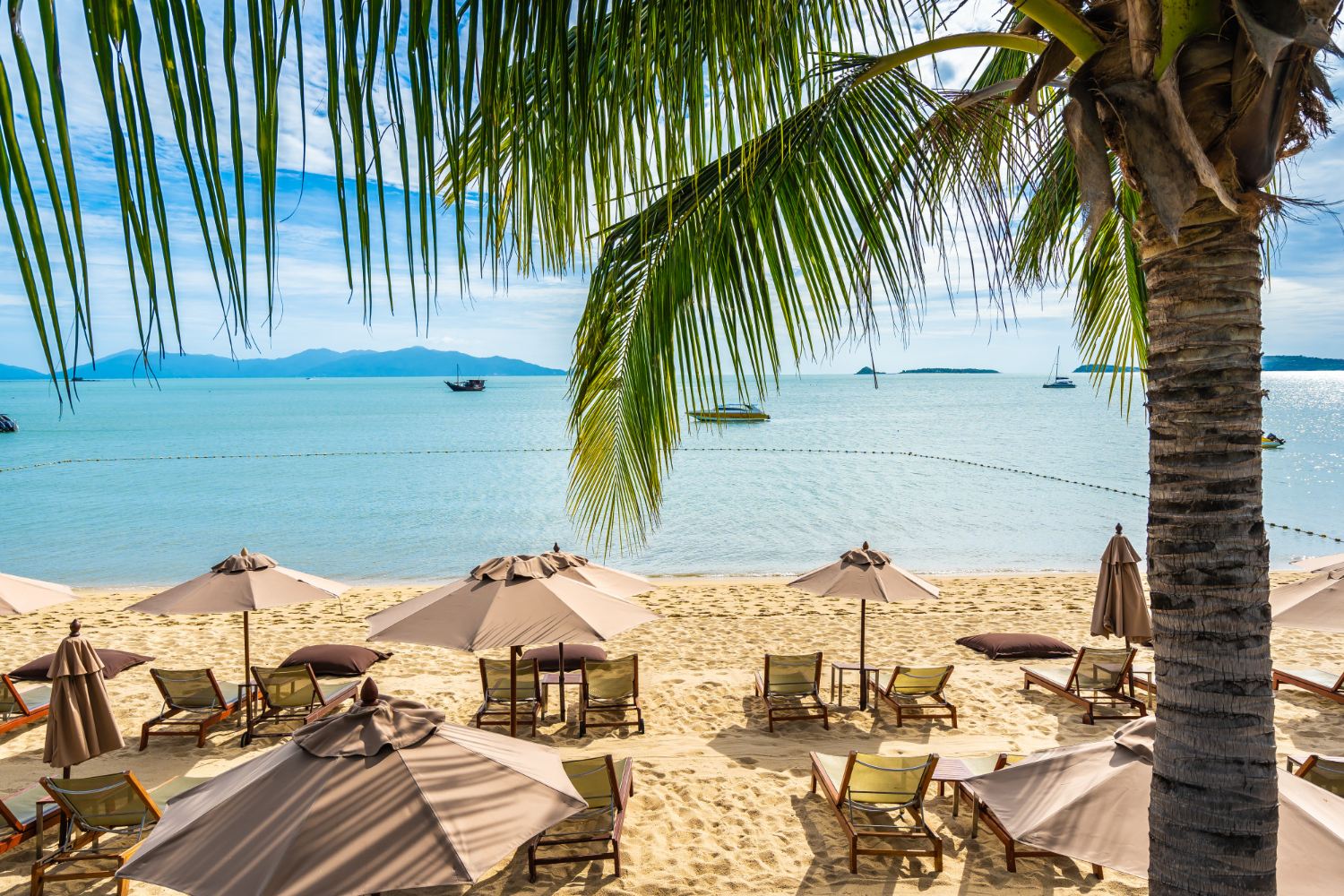 salalah nature trips travel photo