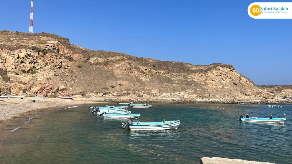 salalah beach tours travel photo