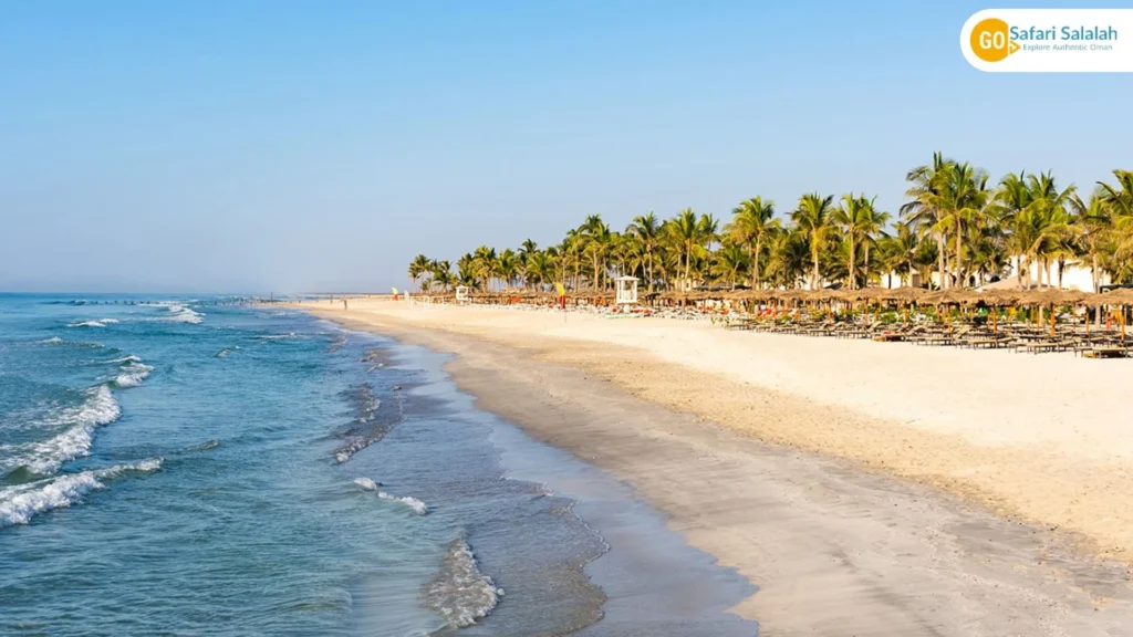 salalah holiday packages travel photo