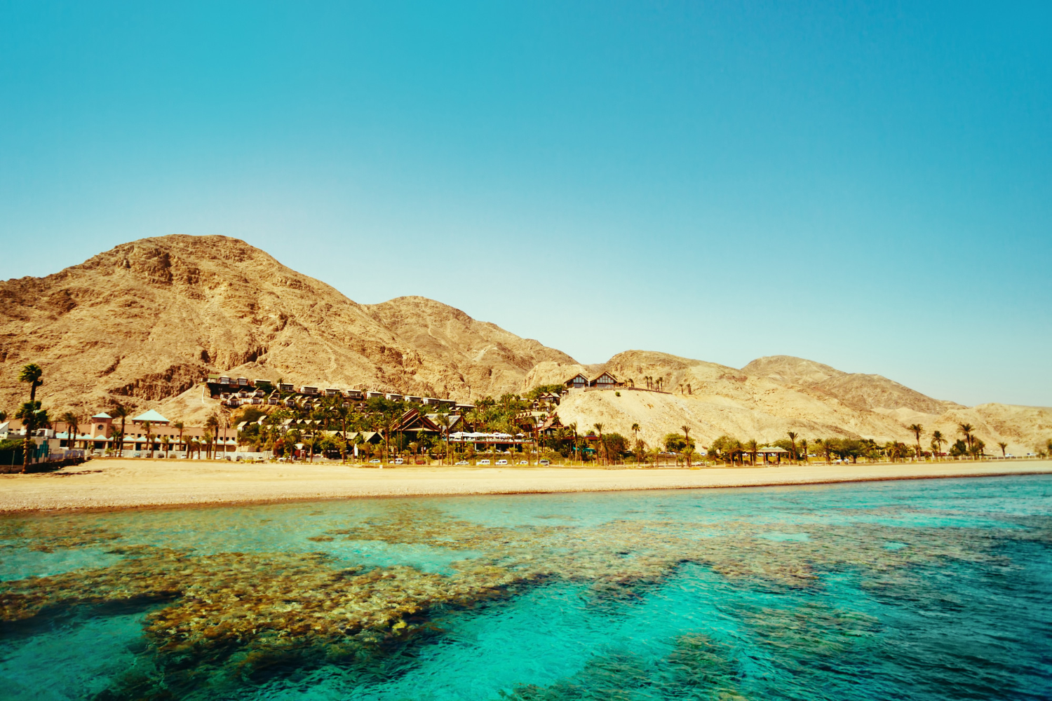 salalah oman tour package travel photo