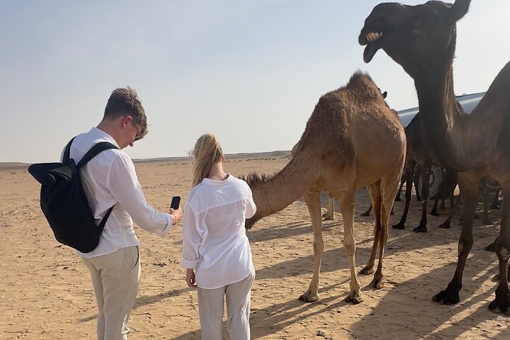 Salalah guided tours worth booking