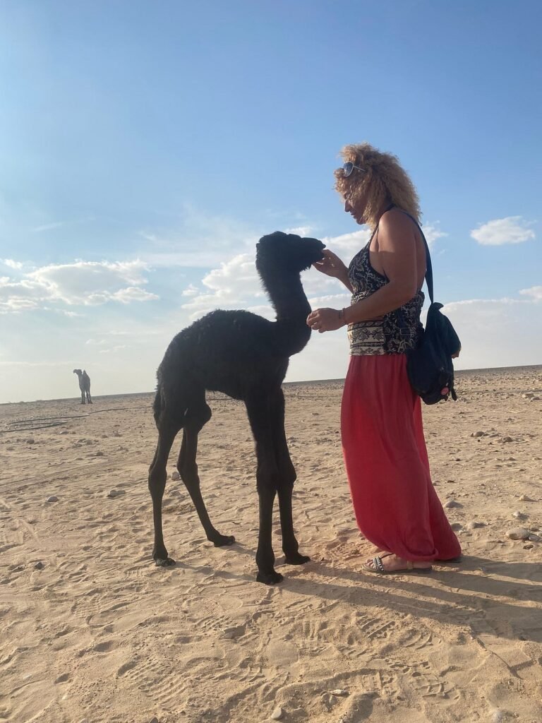 UNESCO sites near Salalah the best salalah dolphin tour travel photo - Salalah Oman guided tours winter Salalah Practical Travel Tips: 15 Essential & Smart Tips for Europeans (2026)