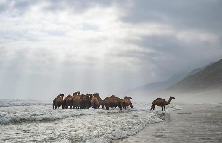 Dhofar road trip itinerary winter